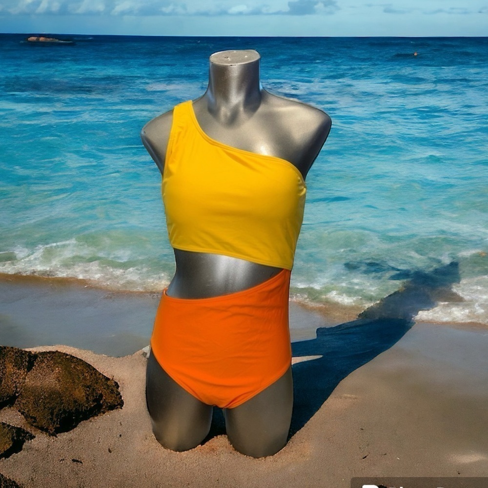 NWT Swimsuit